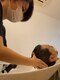 パステルアトリエドゥ(PASTEL ATELIER DEUX)の写真/癒しだけでなく、髪や頭皮のケアまでしっかりできるスペシャルコース◎毛穴の汚れも”根こそぎクリア”に！