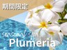 【地肌と髪に潤いを◎】カット+カラー+オージュア2step+プルメリアスパ