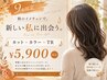 【初回限定☆白髪染めNo,1おしゃれ染め可】カット+カラー+トリートメント