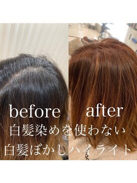 アッシュ 高幡不動店(Ash) 【Ash高幡不動×山崎】白髪染めを使わない白髪ぼかしハイライト5
