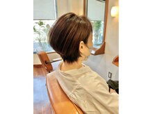 ソラ(SOLA)