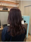 ピンクラベンダー