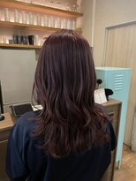 ハロ 蕨(HALO) ピンクラベンダー