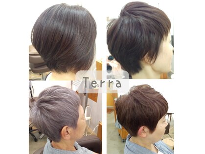 テラ(Terra)の写真