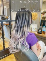 ラグシス ザ ヴィンテージ(LUXIS THE VINTAGE) 【シールエクステ】シルバーアッシュグラデーション