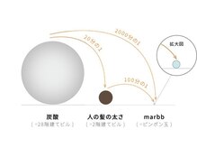 【炭酸の2000分の1の大きさ】