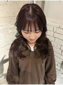 ピンクラベンダー/奈良/橿原神宮前