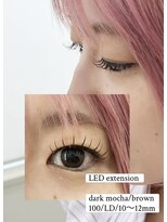 ウィット(8)&nbsp;LEDブラウンマツエク100本