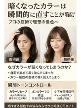 アフィーロ(ACHFILO) ACHFILO カラー