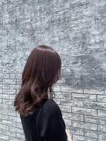 サンカリ イオンモール新居浜店(SANKARI)&nbsp;艶感ピンクラベンダー
