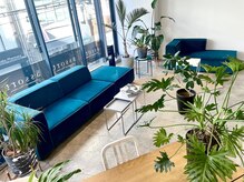 Our waiting area is always filled with lots of green!