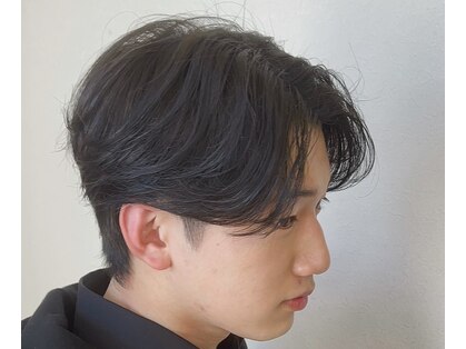 シャンパトラ(SCHON PATRA)の写真