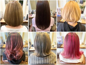 LA-CIMA 【ラ　シーマ】