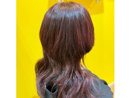 チャマ(Chama.)の写真