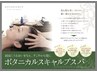 （美髪の土台づくり）ベーシックスパSTD