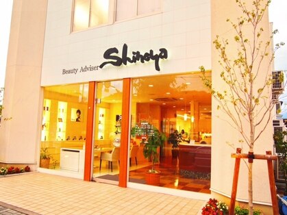 シノヤ 本店の写真