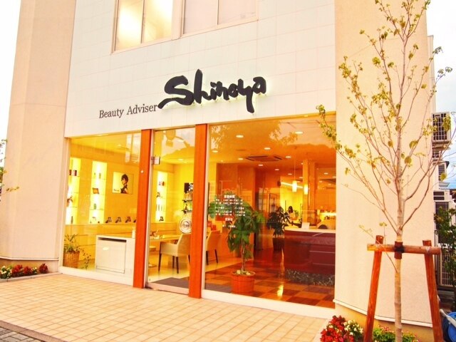 シノヤ 本店