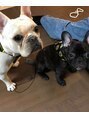 アース オーセンティック アクロスプラザ 与次郎店(EARTH Authentic)&nbsp;実家で飼っているペット達！私をいつも癒してくれます！