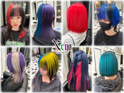 ゼノ(Xeno)の写真