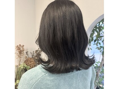 ロッタ(Lotta)の写真