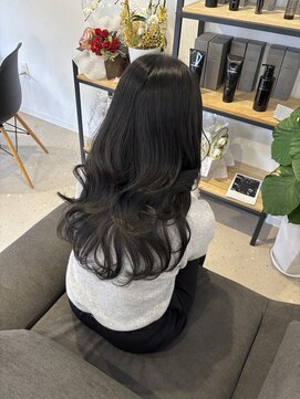 エボルブ(EVOLVE) アッシュグレー