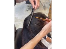 ヒト(Hito)