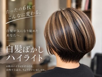 ヘアーアンドメイク シーク 八王子(HAIR&MAKE SeeK)の写真/「白髪を隠す」ではなく「デザインを楽しむ」カラーをご提案♪いつまでもお洒落なヘアを楽しみたい方に。