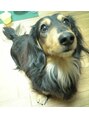 アドナイン(add9) 犬好きです。愛犬のking!