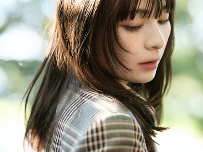 デュッカ(ducca)の写真