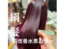 エヌフラップ(n-flap)