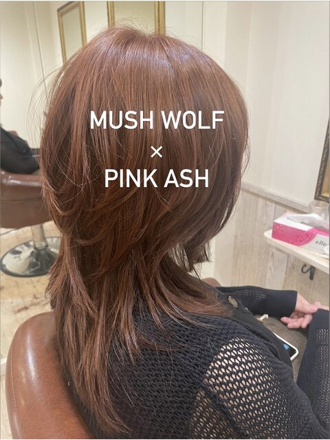 MUSH WOLF×PINK ASH [30代40代50代60代]
