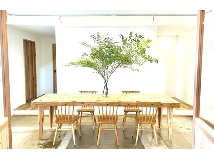 マルコ(marco)の写真