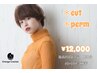 【ショート向け＊柔らかな質感に】カット＋パーマ 12,000 ＊初回は10,800