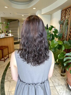 アサクラ シンキタ(ASAKURA SHINKITA) 朝ラク/巻きいらず/パーマ