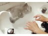 NAGOMI spa (60min) / ヘッドスパ  ￥ 8,250