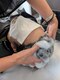 ヘアーサロントヤマ 中郡店(Hair salon Toyama)の写真/＜あなたの頭皮と心に寄り添う、オーダーメイドスパ体験＞疲れ/コリを癒し、頭皮の感想/べたつきを解消◇