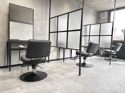 テイラー(Taylor)の写真