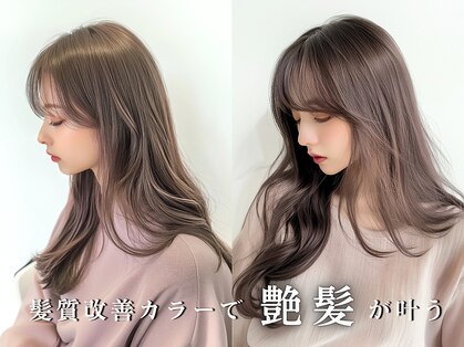 トーン(TONE)の写真