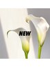 【新規限定】カット＋コラーゲンヘアパック＋炭酸泉 7700→5500