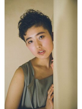 ザップ(ZAP) カーリートップ