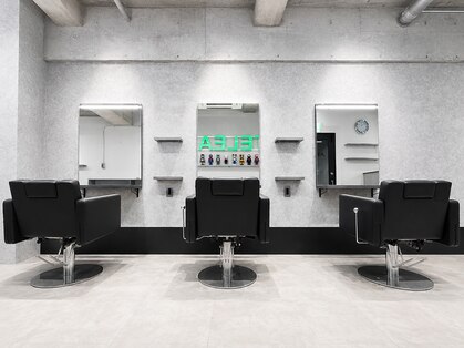 テリア(TELEA.)の写真
