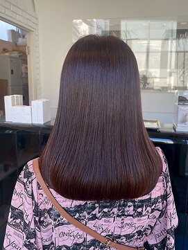 【DIFINO 青山】バイオレットブラウン/セミロング