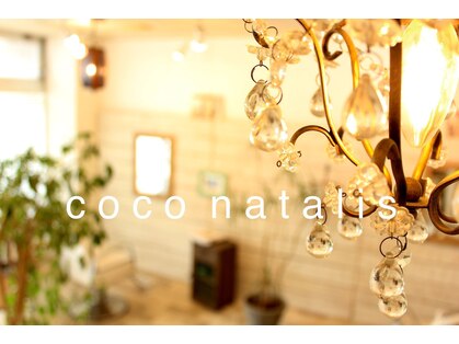 ココ ナタリス(coco natalis)の写真