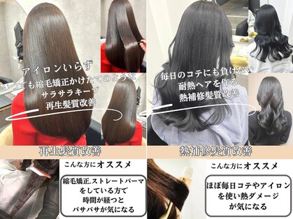 グルグル 清澄白河(GULGUL)の写真