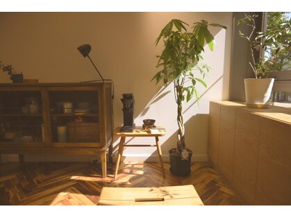 ステム(stem)の写真