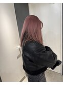 ピンクラベンダー