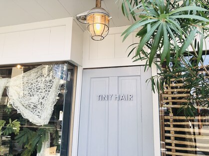 タイニーヘアー(TINY HAIR)の写真