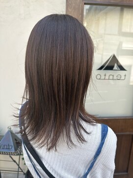 テント 上大岡(tento) ミディアム