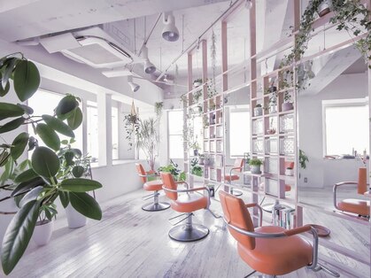 アシャ ヘアー ソリューション 神戸店(asha hair solution)の写真