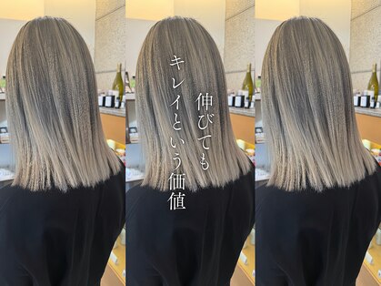 オリノ(olino)の写真